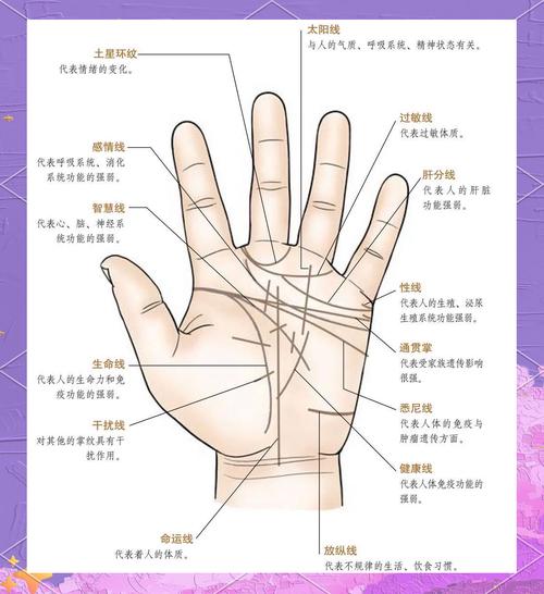 生命线攻略难点在哪？高玩教你轻松过关！