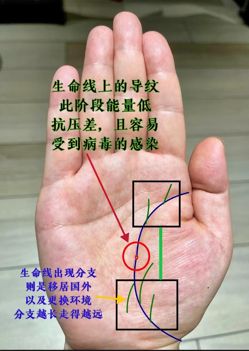 生命线攻略难点在哪？高玩教你轻松过关！