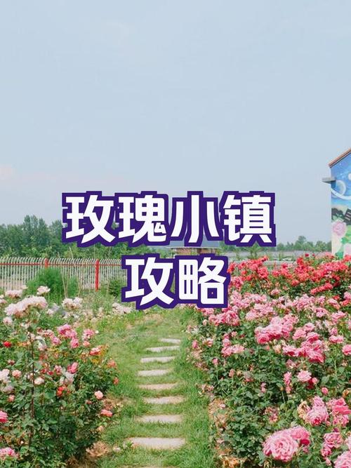 玫瑰小镇点亮图标有什么用？快速升级必备技巧！