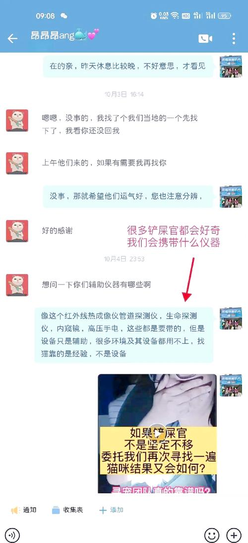 猫咪破永久vip哪里能找到？分享几个靠谱途径！