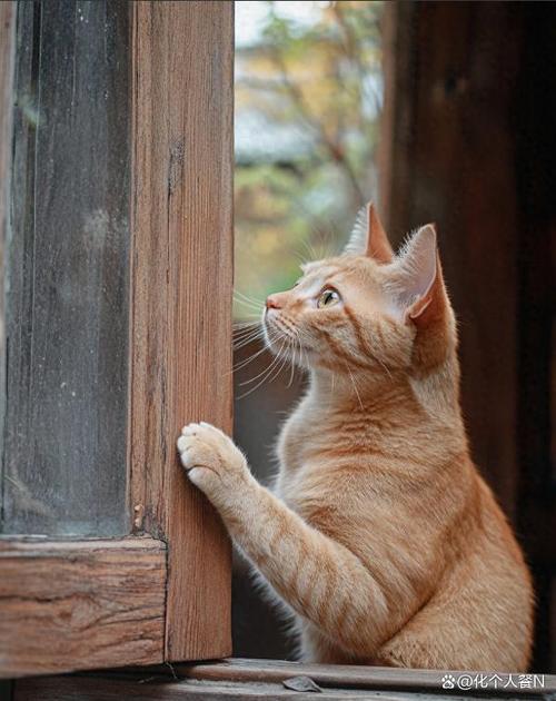 像贾格一样生活是什么体验？过来人告诉你！