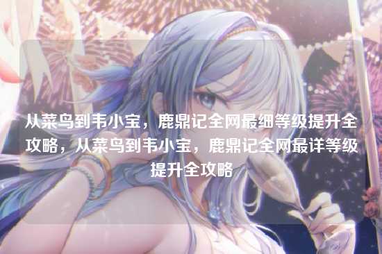 从菜鸟到韦小宝，鹿鼎记全网最细等级提升全攻略，从菜鸟到韦小宝，鹿鼎记全网最详等级提升全攻略
