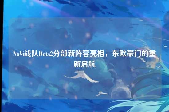 NaVi战队Dota2分部新阵容亮相，东欧豪门的重新启航